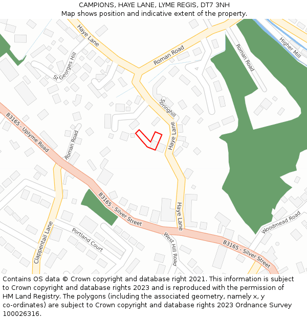 CAMPIONS, HAYE LANE, LYME REGIS, DT7 3NH: Location map and indicative extent of plot