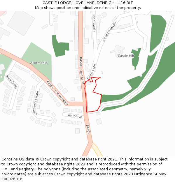 CASTLE LODGE, LOVE LANE, DENBIGH, LL16 3LT: Location map and indicative extent of plot