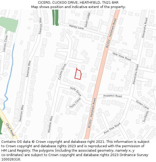 CICERO, CUCKOO DRIVE, HEATHFIELD, TN21 8AR: Location map and indicative extent of plot