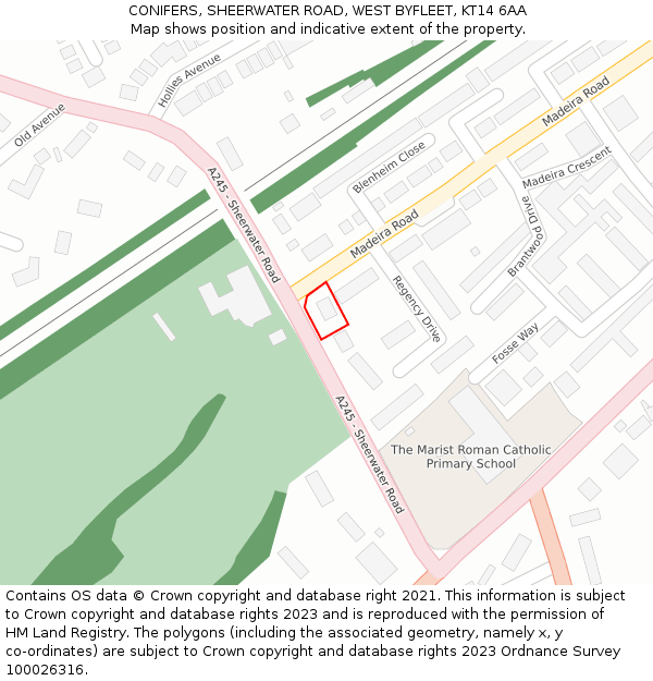 CONIFERS, SHEERWATER ROAD, WEST BYFLEET, KT14 6AA: Location map and indicative extent of plot