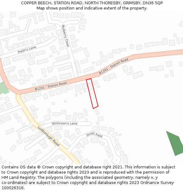 COPPER BEECH, STATION ROAD, NORTH THORESBY, GRIMSBY, DN36 5QP: Location map and indicative extent of plot