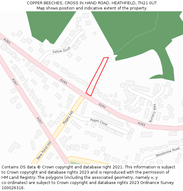 COPPER BEECHES, CROSS IN HAND ROAD, HEATHFIELD, TN21 0UT: Location map and indicative extent of plot