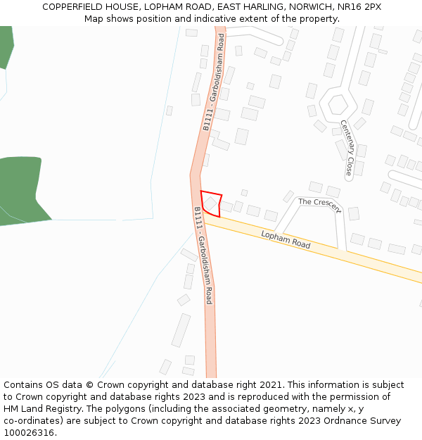 COPPERFIELD HOUSE, LOPHAM ROAD, EAST HARLING, NORWICH, NR16 2PX: Location map and indicative extent of plot
