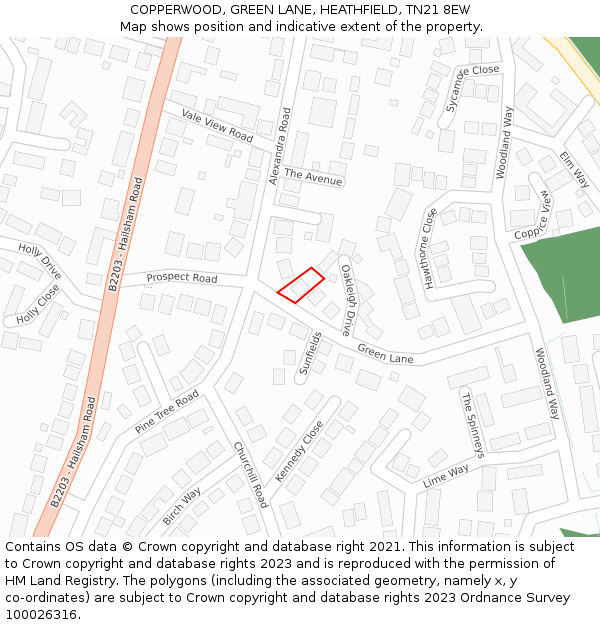 COPPERWOOD, GREEN LANE, HEATHFIELD, TN21 8EW: Location map and indicative extent of plot