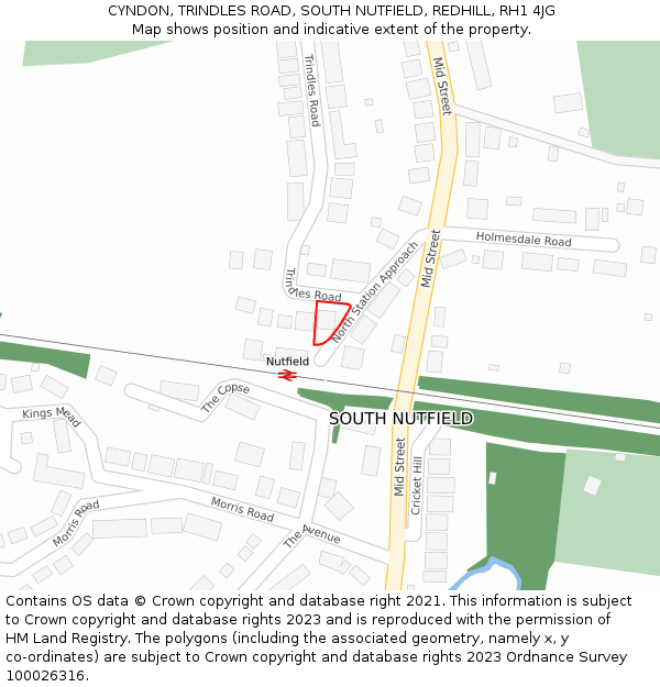 CYNDON, TRINDLES ROAD, SOUTH NUTFIELD, REDHILL, RH1 4JG: Location map and indicative extent of plot
