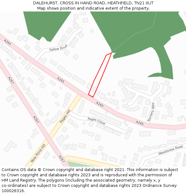 DALEHURST, CROSS IN HAND ROAD, HEATHFIELD, TN21 0UT: Location map and indicative extent of plot