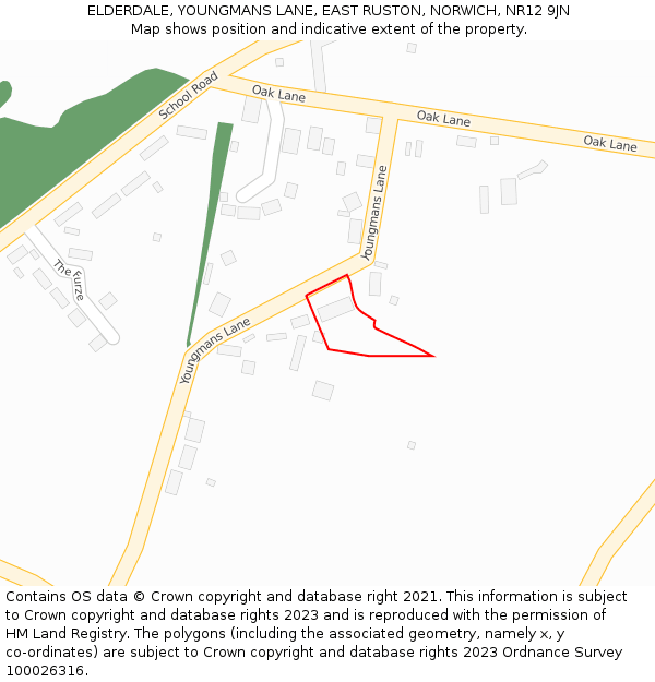 ELDERDALE, YOUNGMANS LANE, EAST RUSTON, NORWICH, NR12 9JN: Location map and indicative extent of plot