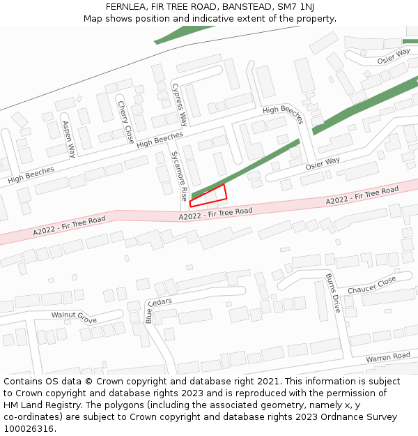 FERNLEA, FIR TREE ROAD, BANSTEAD, SM7 1NJ: Location map and indicative extent of plot