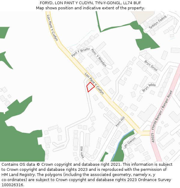 FORYD, LON PANT Y CUDYN, TYN-Y-GONGL, LL74 8UF: Location map and indicative extent of plot