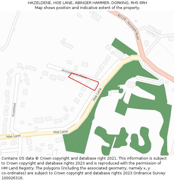 HAZELDENE, HOE LANE, ABINGER HAMMER, DORKING, RH5 6RH: Location map and indicative extent of plot