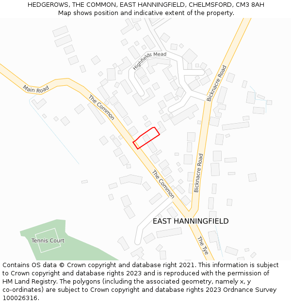 HEDGEROWS, THE COMMON, EAST HANNINGFIELD, CHELMSFORD, CM3 8AH: Location map and indicative extent of plot