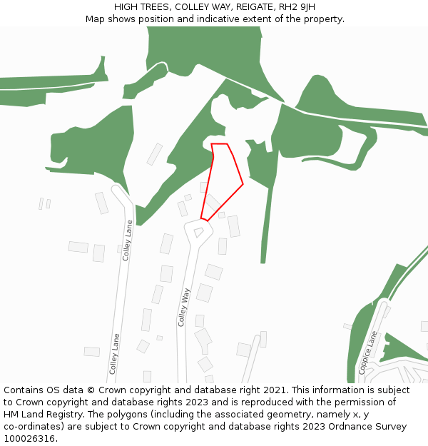 HIGH TREES, COLLEY WAY, REIGATE, RH2 9JH: Location map and indicative extent of plot