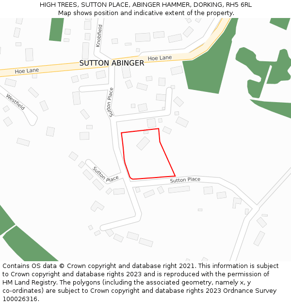 HIGH TREES, SUTTON PLACE, ABINGER HAMMER, DORKING, RH5 6RL: Location map and indicative extent of plot