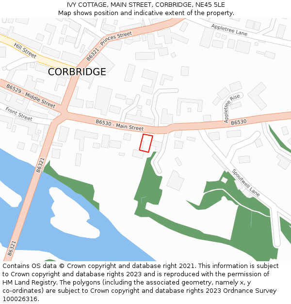 IVY COTTAGE, MAIN STREET, CORBRIDGE, NE45 5LE: Location map and indicative extent of plot