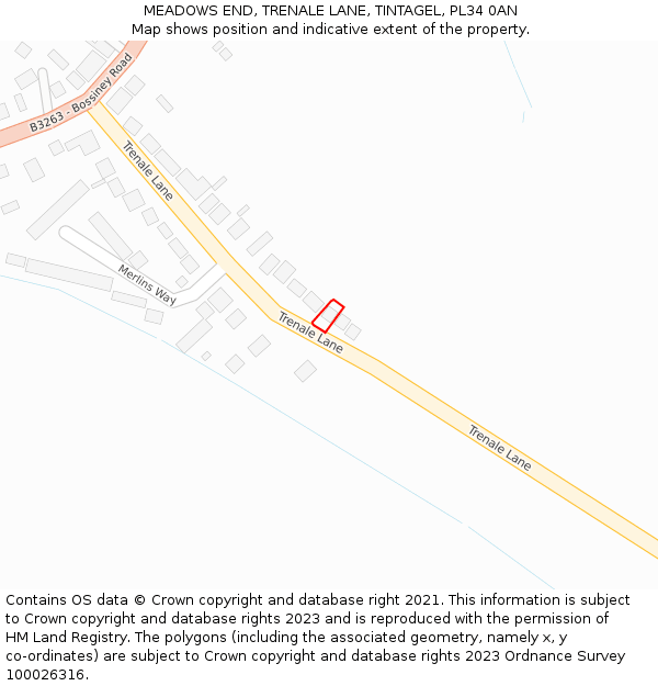 MEADOWS END, TRENALE LANE, TINTAGEL, PL34 0AN: Location map and indicative extent of plot