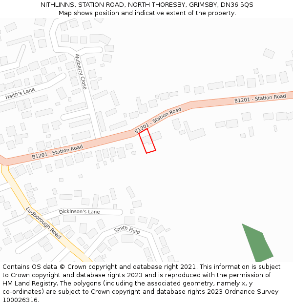 NITHLINNS, STATION ROAD, NORTH THORESBY, GRIMSBY, DN36 5QS: Location map and indicative extent of plot