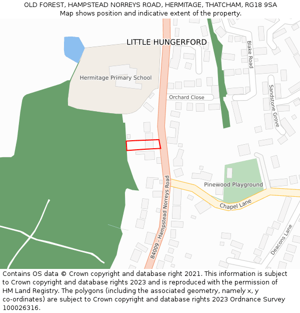 OLD FOREST, HAMPSTEAD NORREYS ROAD, HERMITAGE, THATCHAM, RG18 9SA: Location map and indicative extent of plot