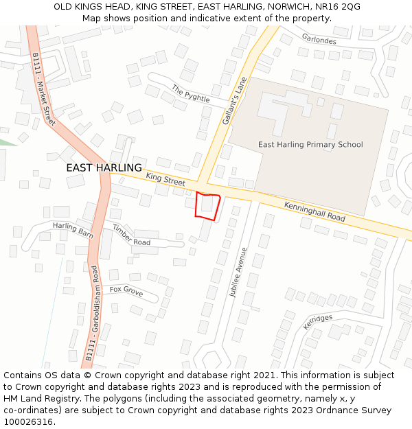 OLD KINGS HEAD, KING STREET, EAST HARLING, NORWICH, NR16 2QG: Location map and indicative extent of plot