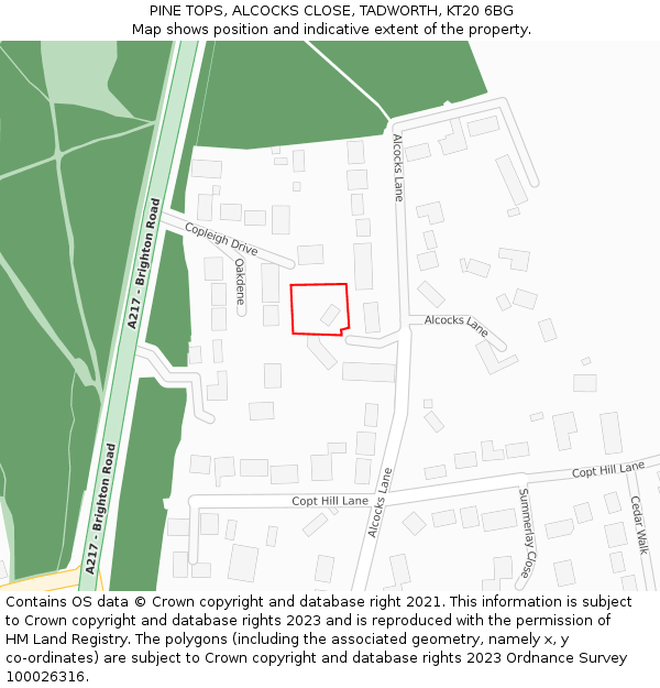PINE TOPS, ALCOCKS CLOSE, TADWORTH, KT20 6BG: Location map and indicative extent of plot