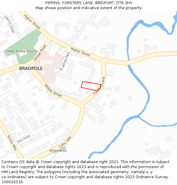 PIPPINS, FORSTERS LANE, BRIDPORT, DT6 3HY: Location map and indicative extent of plot