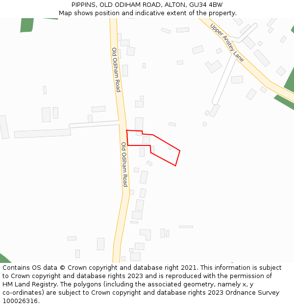 PIPPINS, OLD ODIHAM ROAD, ALTON, GU34 4BW: Location map and indicative extent of plot