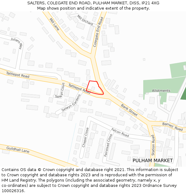 SALTERS, COLEGATE END ROAD, PULHAM MARKET, DISS, IP21 4XG: Location map and indicative extent of plot