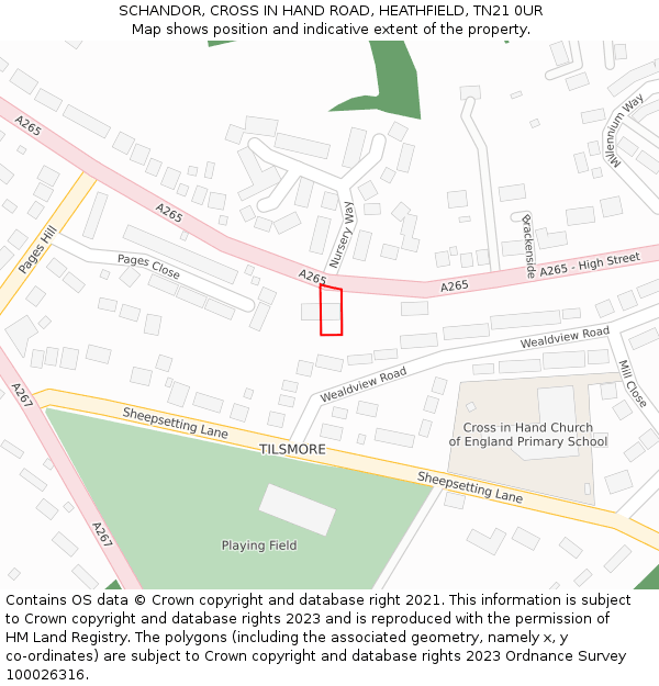 SCHANDOR, CROSS IN HAND ROAD, HEATHFIELD, TN21 0UR: Location map and indicative extent of plot