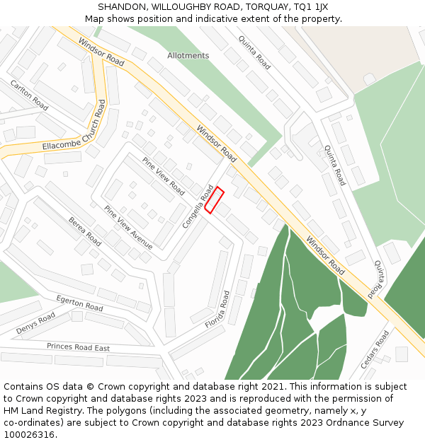 SHANDON, WILLOUGHBY ROAD, TORQUAY, TQ1 1JX: Location map and indicative extent of plot