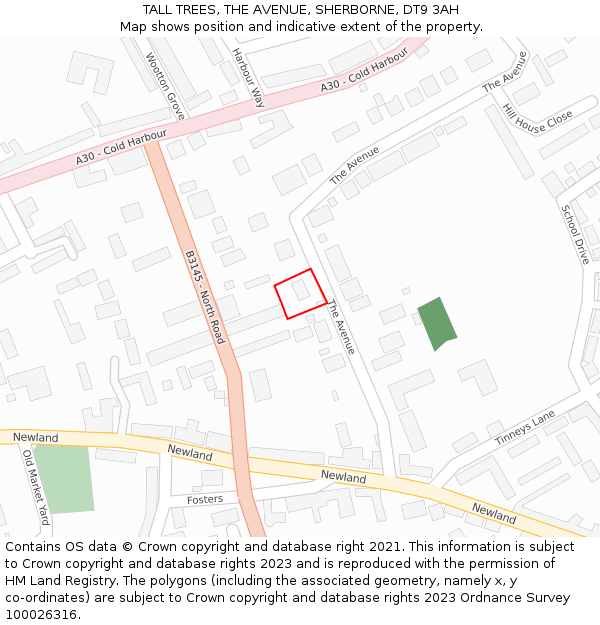 TALL TREES, THE AVENUE, SHERBORNE, DT9 3AH: Location map and indicative extent of plot