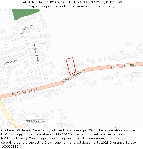 TANGLIN, STATION ROAD, NORTH THORESBY, GRIMSBY, DN36 5QS: Location map and indicative extent of plot