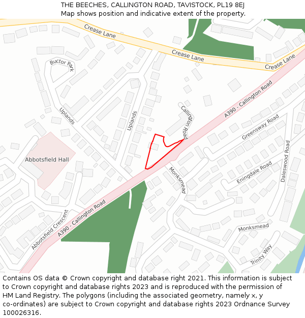 THE BEECHES, CALLINGTON ROAD, TAVISTOCK, PL19 8EJ: Location map and indicative extent of plot