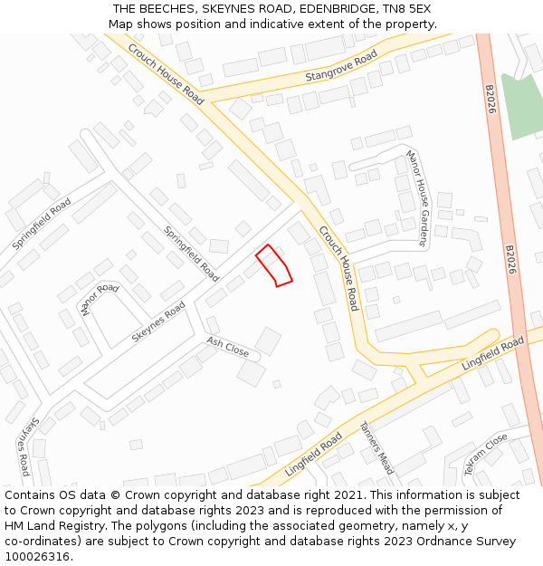 THE BEECHES, SKEYNES ROAD, EDENBRIDGE, TN8 5EX: Location map and indicative extent of plot