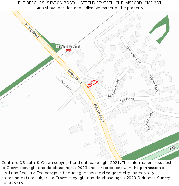 THE BEECHES, STATION ROAD, HATFIELD PEVEREL, CHELMSFORD, CM3 2DT: Location map and indicative extent of plot