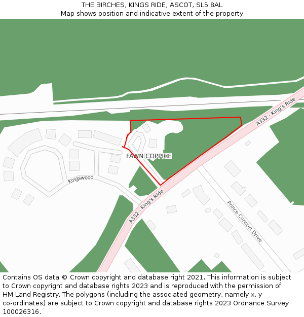 THE BIRCHES, KINGS RIDE, ASCOT, SL5 8AL: Location map and indicative extent of plot