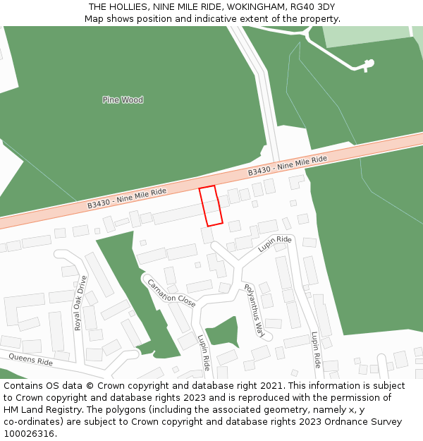 THE HOLLIES, NINE MILE RIDE, WOKINGHAM, RG40 3DY: Location map and indicative extent of plot