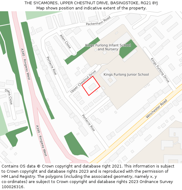 THE SYCAMORES, UPPER CHESTNUT DRIVE, BASINGSTOKE, RG21 8YJ: Location map and indicative extent of plot