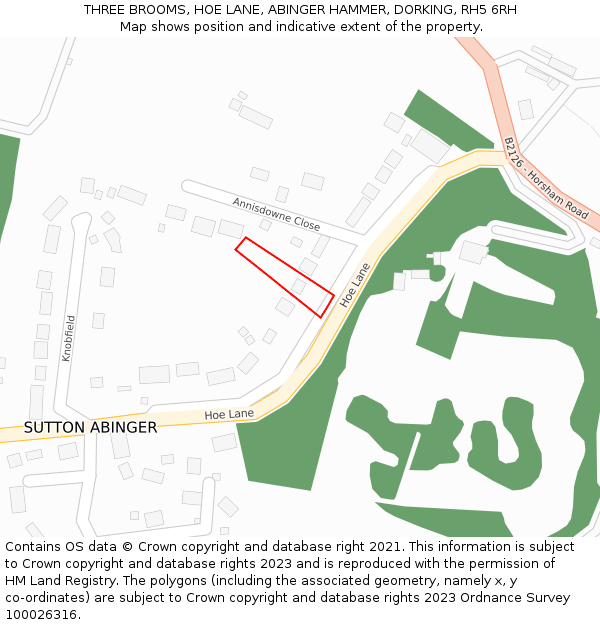 THREE BROOMS, HOE LANE, ABINGER HAMMER, DORKING, RH5 6RH: Location map and indicative extent of plot