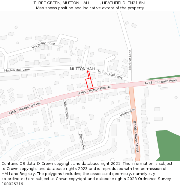 THREE GREEN, MUTTON HALL HILL, HEATHFIELD, TN21 8NL: Location map and indicative extent of plot