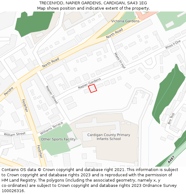 TRECENYDD, NAPIER GARDENS, CARDIGAN, SA43 1EG: Location map and indicative extent of plot
