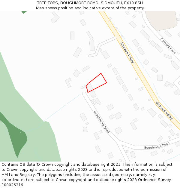 TREE TOPS, BOUGHMORE ROAD, SIDMOUTH, EX10 8SH: Location map and indicative extent of plot