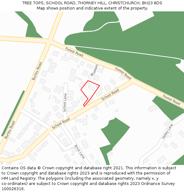 TREE TOPS, SCHOOL ROAD, THORNEY HILL, CHRISTCHURCH, BH23 8DS: Location map and indicative extent of plot
