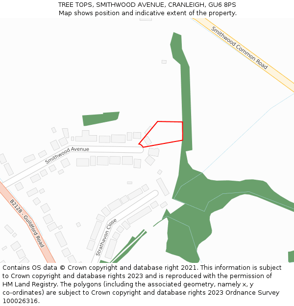 TREE TOPS, SMITHWOOD AVENUE, CRANLEIGH, GU6 8PS: Location map and indicative extent of plot