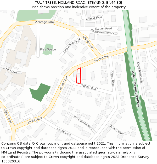 TULIP TREES, HOLLAND ROAD, STEYNING, BN44 3GJ: Location map and indicative extent of plot