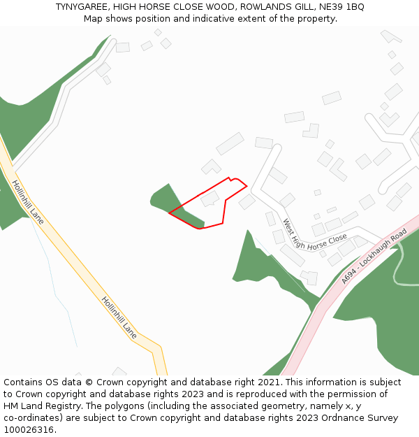 TYNYGAREE, HIGH HORSE CLOSE WOOD, ROWLANDS GILL, NE39 1BQ: Location map and indicative extent of plot