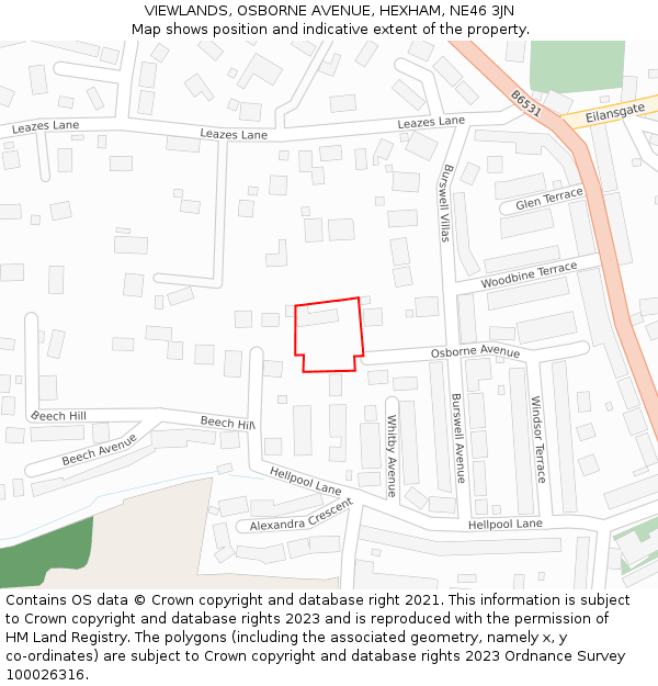 VIEWLANDS, OSBORNE AVENUE, HEXHAM, NE46 3JN: Location map and indicative extent of plot
