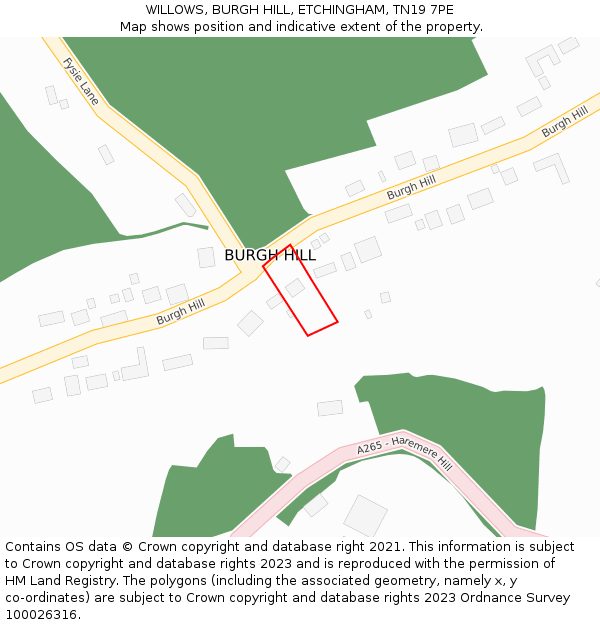 WILLOWS, BURGH HILL, ETCHINGHAM, TN19 7PE: Location map and indicative extent of plot