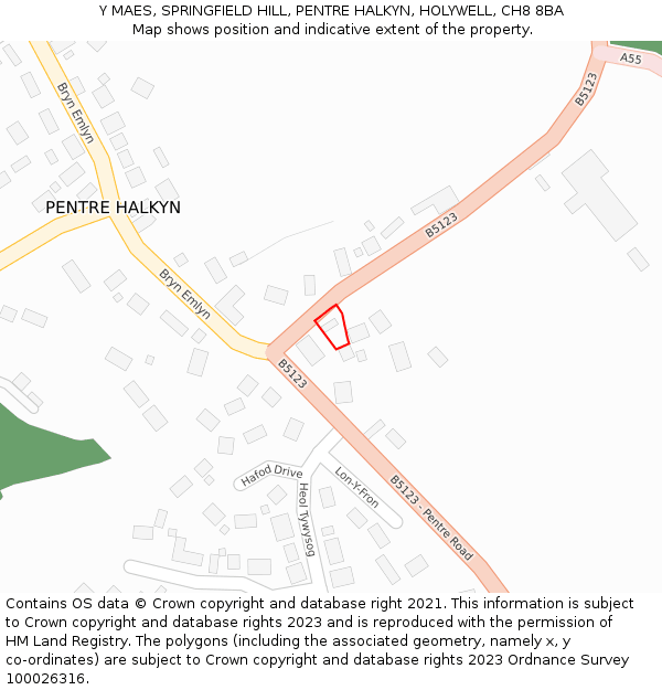 Y MAES, SPRINGFIELD HILL, PENTRE HALKYN, HOLYWELL, CH8 8BA: Location map and indicative extent of plot