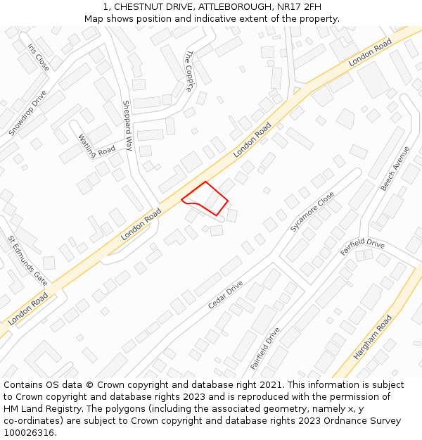 1, CHESTNUT DRIVE, ATTLEBOROUGH, NR17 2FH: Location map and indicative extent of plot