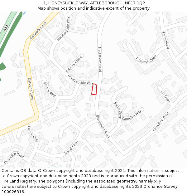 1, HONEYSUCKLE WAY, ATTLEBOROUGH, NR17 1QP: Location map and indicative extent of plot