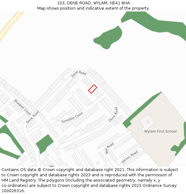 103, DENE ROAD, WYLAM, NE41 8HA: Location map and indicative extent of plot